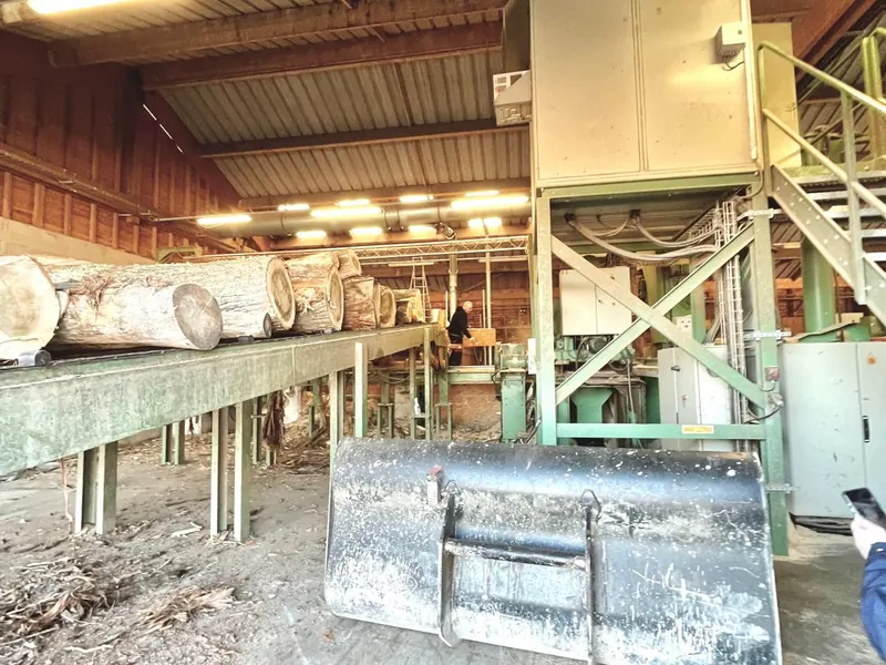Atelier de transformation du bois avec convoyeur