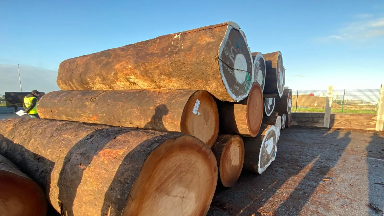 Grumes empilées sur un parc à bois, sous un ciel dégagé