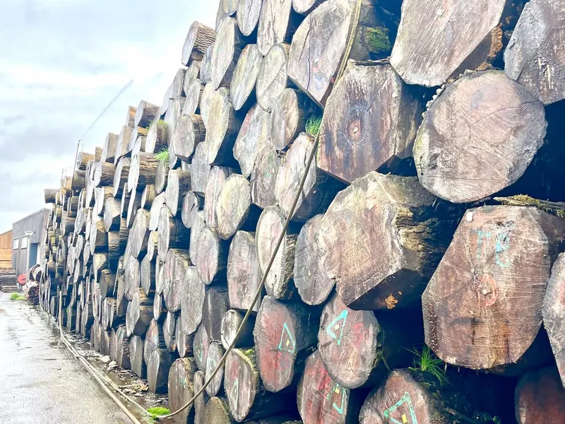 Grumes empilées le long d’une voie d’un parc à bois